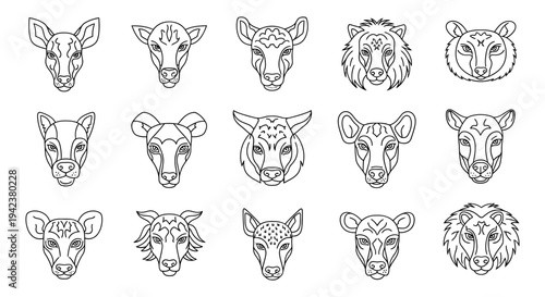 Collection of diverse animal faces illustration showcasing various wildlife species heads in a grid layout for educational purposes