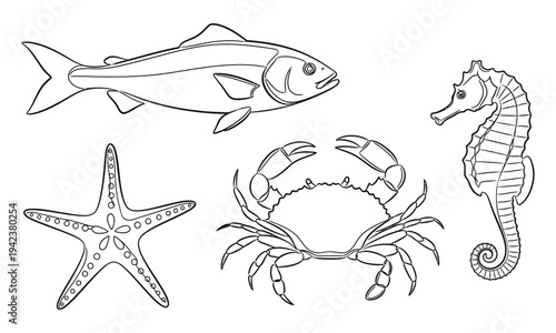 Marine life illustrations featuring fish, starfish, crab, and seahorse in a simple line art style from a direct viewpoint
