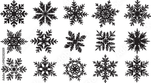 Collection of unique black snowflakes on white background illustration