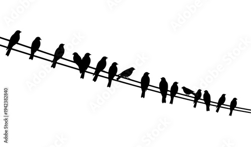 Birds sitting on power line wire silhouette vector illustration