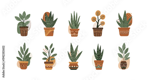 Collection of small potted succulent plants.