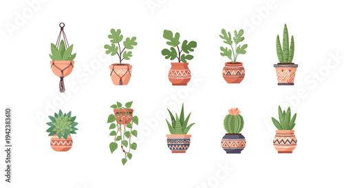 Collection of small potted plants variety.