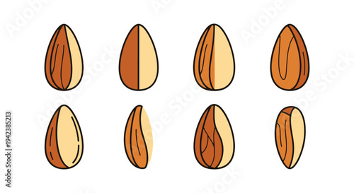 Almond Slice Line art vector clean abstract colorful