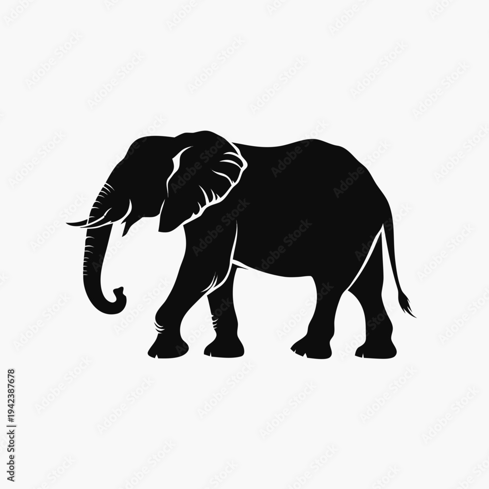 Obraz premium elephant isolated on white
