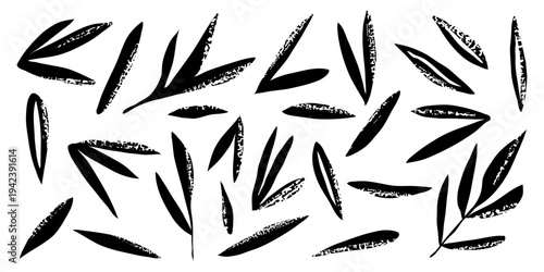 Vector drawing of grunge leaves, isolated on a white background