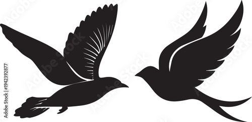 Two Birds flying face to face vector silhouette