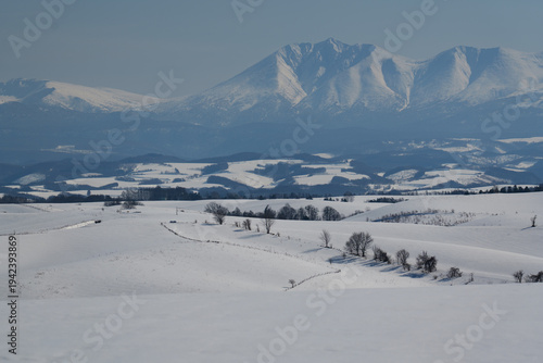 冬の美瑛の雪景色と十勝岳