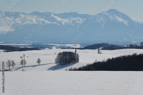 冬の美瑛の雪景色と十勝岳