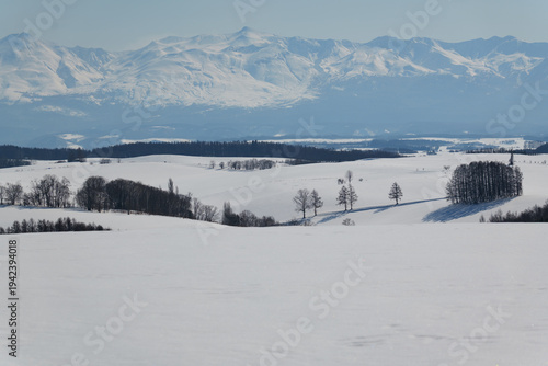 冬の美瑛の雪景色と十勝岳