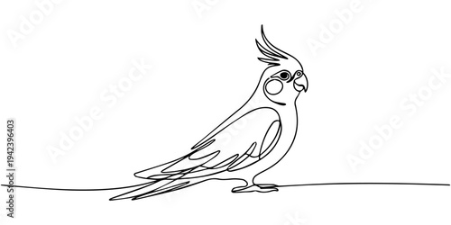 Cockatiel parrots. Cute Animal Concept. Minimalist Continuous Line Drawing Concept. Single line draw design, Elegant one line drawing of a cockatoo parrot perched on a branch, cockatoo parrots bird