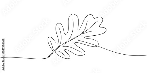 Continuous Line Oak Leaf Drawing, Minimalist continuous line drawing of a single oak leaf with a stem and a curved line representing the ground or a branch evoking nature and simplicity