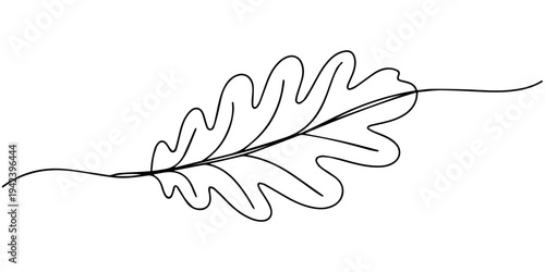 Continuous Line Oak Leaf Drawing, Minimalist continuous line drawing of a single oak leaf with a stem and a curved line representing the ground or a branch evoking nature and simplicity