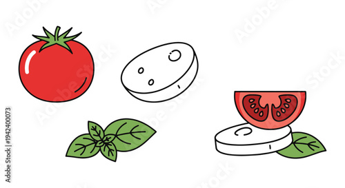 Caprese Salad Line art vector vibrant abstract colorful design illustration