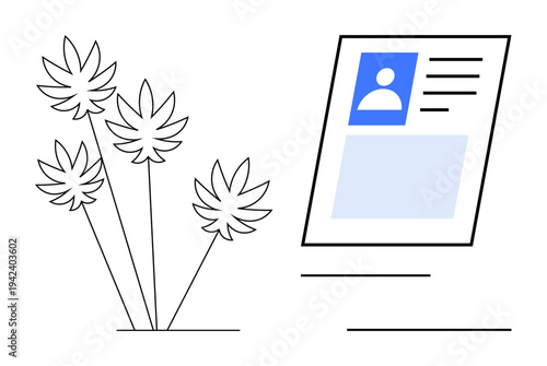 Cannabis legalization concept. Cannabis leaves paired with an ID card highlighting identification, documentation, and verification processes. Cannabis for compliance, policy, legality checks