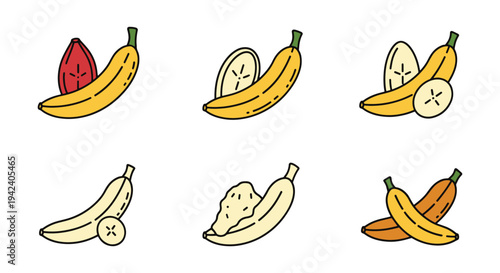 Boiled Plantains Line art abstract minimal color vector