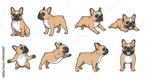 Collection of Cute French Bulldog Vector Illustrations Featuring Eight Unique Poses Like Sitting Running and Begging for Design Projects on a White Background.