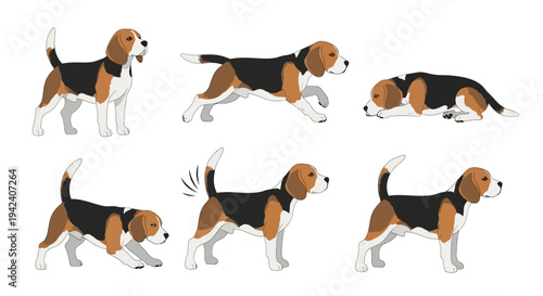 Beagle Dog Vector Illustration Set - Cute Beagle Puppies in Various Poses like Standing, Running, Lying Down and Wagging Tail. High Quality Dog Breed Graphics.