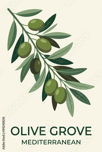 The artwork presents an elegant olive branch filled with green olives against a neutral background, symbolizing the Mediterranean heritage and the serenity of nature.
