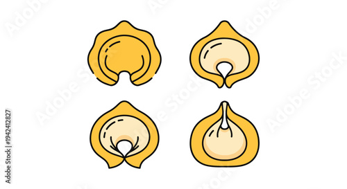 Cheese Tortellini Line art colorful modern abstract design illustration