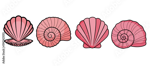 Set of Pink Seashell Illustrations including Scallop and Spiral Shells on White Background