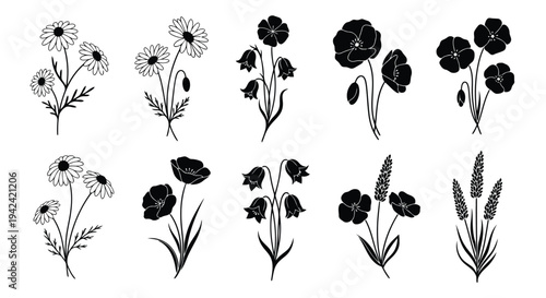 A collection of twelve different types of flowers in a variety of shapes and sizes