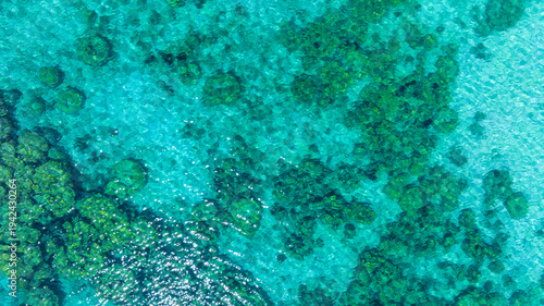 Tableau sur toile Top view of natural coral formations in shallow sea water with rippling sun reflections, perfect for summer vacation, snorkeling, and environmental conservation themes
