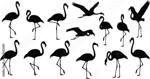 Flock of flamingos in flight and standing