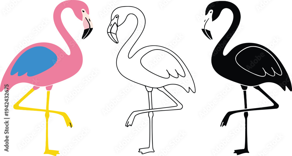 Obraz premium Three flamingos in different colors