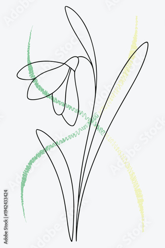 Elegant Snowdrop Line Art Floral Design, Delicate Botanical Illustration For Spring Decor And Wedding Stationery