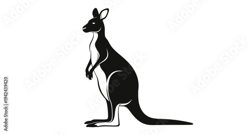 Black silhouette of a kangaroo standing upright on a white background.