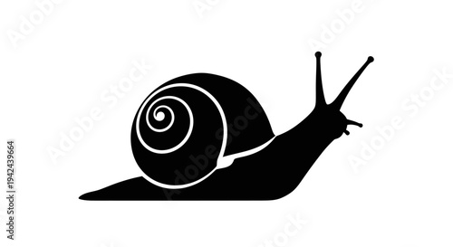 Black silhouette of a snail with a swirled shell.