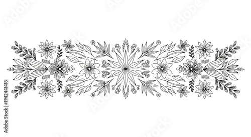 Delicate Snowflakes in Black and White.