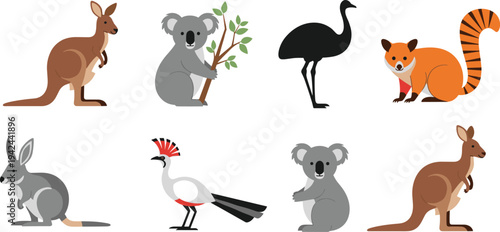 Australian wildlife animal vector set featuring kangaroo koala emu and exotic birds in flat cartoon style isolated on white background for educational design.