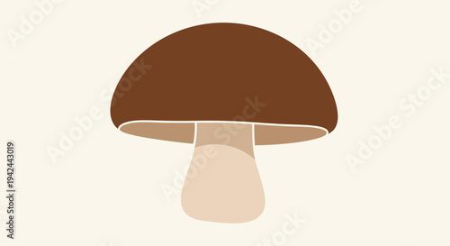 Brown mushroom with a thick stem and wide cap.