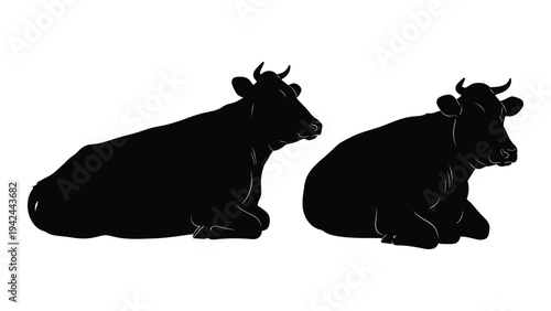 Two black silhouettes of cows resting in a field facing different directions