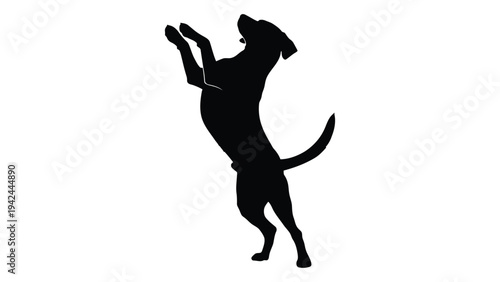 A black silhouette of a dog standing on its hind legs with paws raised