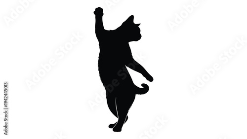 Silhouette of a cat standing on its hind legs with a raised paw
