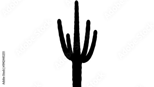 Cactus Plant Silhouette Desert Flora.