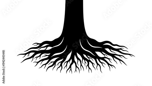 Tree Root System Closeup View.