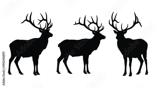 Silhouettes of three majestic deer with large antlers are displayed in a row