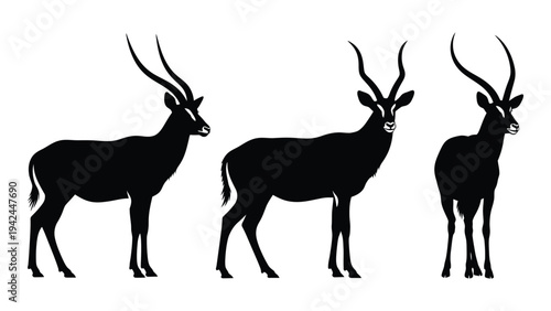 Three gazelles depicted in a black silhouette showcasing their distinct horn structures