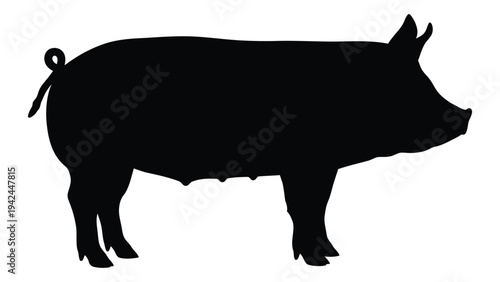 A black silhouette of a pig standing in profile with a curly tail