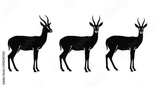 Three gazelle silhouettes are displayed in a minimalist black and white vector illustration