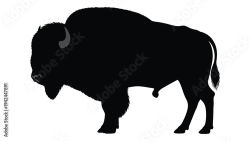 Silhouette of a bison standing in profile showcasing its powerful build