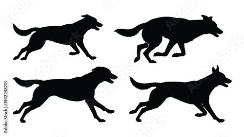 Silhouettes of four dogs in various running and walking poses against a white background
