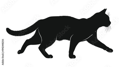 A sleek black silhouette of a cat in mid stride showcasing its dynamic movement