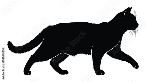 A striking black silhouette of a cat in mid stride showcasing its graceful form