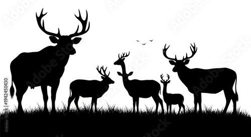 Family of deer grazing in meadow with antlers