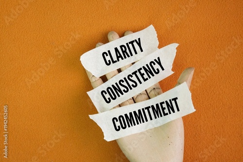 The three primary principles of success frequently cited are CLARITY, CONSISTENCY, COMMITMENT word. doing what you love, and taking massive action, or focus on proactivity, vision, and prioritization.