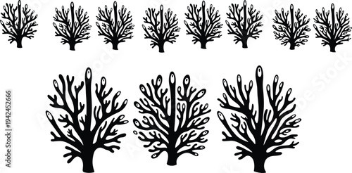 Coral reef silhouettes collection marine coral shapes vector set ocean underwater wildlife nature sea plant isolated illustration design